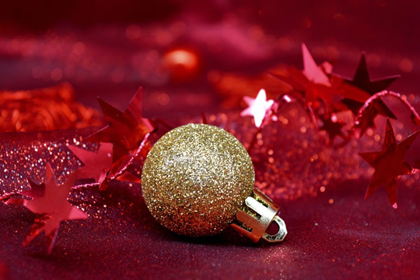 Host a Christmas Party in Canberra